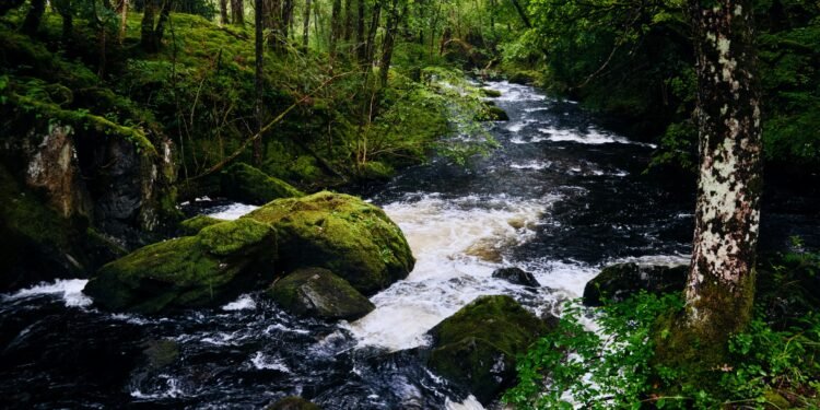 Mesmerising Mussoorie