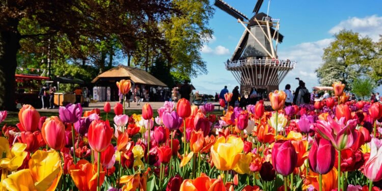 Floral Fantasies And The Oriental Monk 