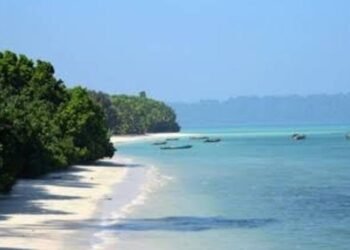 Islands of Discovery – From Baratang’s Mangroves to Ross and North Bay Wonders