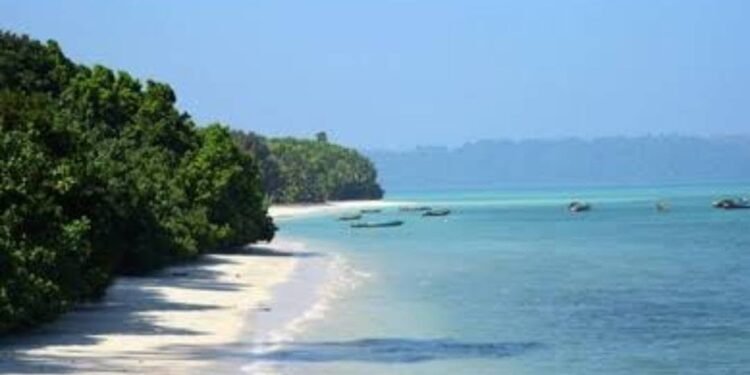 Islands of Discovery – From Baratang’s Mangroves to Ross and North Bay Wonders